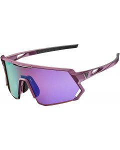 Liv Aurea Sunglasses
