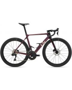 Liv Envi Advanced 1 2025 Womens Bike
