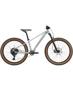 Giant STP 26 2025 Bike