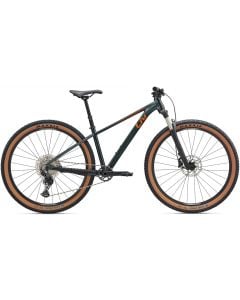 Liv Tempt 0 2025 Womens Bike