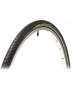 Panaracer Pasela Protite 700c Clincher Tyre