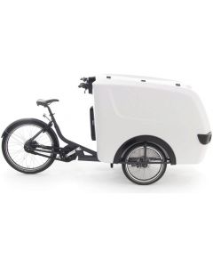 Raleigh Pro Cargo 2023 Electric Trike