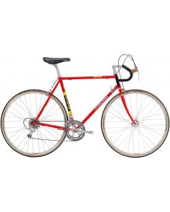 Raleigh Ti-Team Replica 2023 Bike