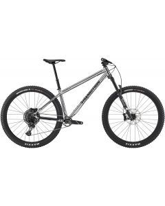 Transition Transam 2025 Bike