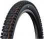 Schwalbe Albert Gravity Pro Radial Soft TLR 29-Inch Tubeless Tyre