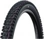 Schwalbe Albert Trail Pro Ultra Soft TLE 29-Inch Tubeless Tyre