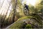 Liv Embolden 2026 Womens Bike