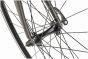 Reid Falco 2024 Bike