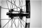 Crank Brothers Synthesis Enduro 11 Carbon 27.5-Inch Rear Wheel