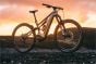 Whyte Kado RS 29-Inch 2025 Electric Bike