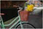 Dawes Elegance 2026 Electric Heritage Bike