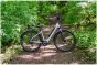 Falcon Horizon Low Step 2026 Electric Bike