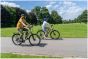 Falcon Horizon Low Step 2026 Electric Bike