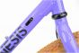 Genesis Croix De Fer 725 2026 Frameset