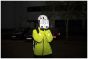 Hump Ultra Reflective Waterproof Gloves – image 3 of 4