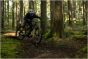 Giant Stance 2026 Bike