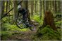 Giant Stance 2026 Bike