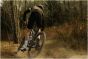 Vittoria Terreno XC Trail 29-Inch Tubeless Tyre