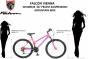 Falcon Vienna 2022 Womens Bike