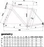 Cinelli Speciale Gravel Frameset
