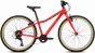 Ridgeback Dimension 24-Inch 2026 Junior Bike