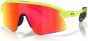 Oakley Stunt Devil Sunglasses