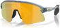 Oakley Stunt Devil S Sunglasses