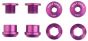 Wolf Tooth Chainring Bolts And Nuts