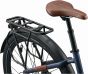 Liv Allure E+ 2 2026 Womens Electric Bike