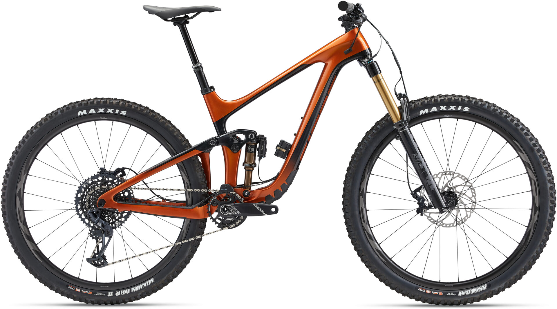 Reign advanced pro 29 0 best sale